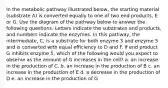 In the metabolic pathway illustrated below, the starting material (substrate A) is converted equally to one of two end products, E or G. Use the diagram of the pathway below to answer the following questions. Letters indicate the substrates and products, and numbers indicate the enzymes. In this pathway, the intermediate, C, is a substrate for both enzyme 3 and enzyme 5 and is converted with equal efficiency to D and F. If end product G inhibits enzyme 5, which of the following would you expect to observe as the amount of G increases in the cell? a. an increase in the production of C. b. an increase in the production of B c. an increase in the production of E d. a decrease in the production of D e. an increase in the production of G