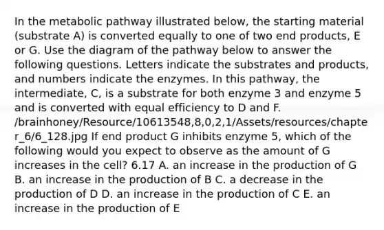 In the metabolic pathway illustrated below, the starting material (substrate A) is converted equally to one of two end products, E or G. Use the diagram of the pathway below to answer the following questions. Letters indicate the substrates and products, and numbers indicate the enzymes. In this pathway, the intermediate, C, is a substrate for both enzyme 3 and enzyme 5 and is converted with equal efficiency to D and F. /brainhoney/Resource/10613548,8,0,2,1/Assets/resources/chapter_6/6_128.jpg If end product G inhibits enzyme 5, which of the following would you expect to observe as the amount of G increases in the cell? 6.17 A. an increase in the production of G B. an increase in the production of B C. a decrease in the production of D D. an increase in the production of C E. an increase in the production of E