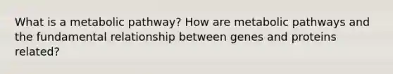 What is a metabolic pathway? How are metabolic pathways and the fundamental relationship between genes and proteins related?
