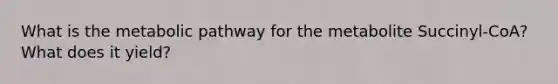 What is the metabolic pathway for the metabolite Succinyl-CoA? What does it yield?