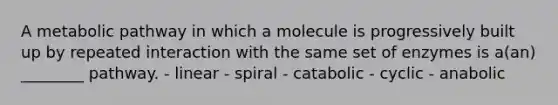 A metabolic pathway in which a molecule is progressively built up by repeated interaction with the same set of enzymes is a(an) ________ pathway. - linear - spiral - catabolic - cyclic - anabolic