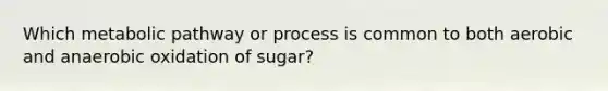 Which metabolic pathway or process is common to both aerobic and anaerobic oxidation of sugar?