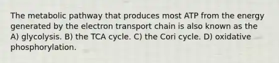 The metabolic pathway that produces most ATP from the energy generated by the electron transport chain is also known as the A) glycolysis. B) the TCA cycle. C) the Cori cycle. D) oxidative phosphorylation.