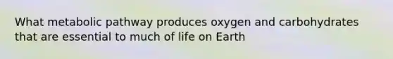 What metabolic pathway produces oxygen and carbohydrates that are essential to much of life on Earth