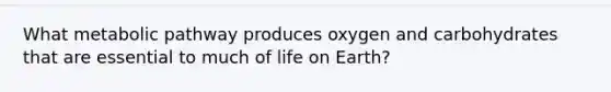 What metabolic pathway produces oxygen and carbohydrates that are essential to much of life on Earth?