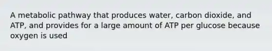 A metabolic pathway that produces water, carbon dioxide, and ATP, and provides for a large amount of ATP per glucose because oxygen is used