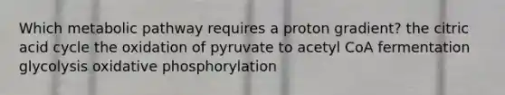 Which metabolic pathway requires a proton gradient? the citric acid cycle the oxidation of pyruvate to acetyl CoA fermentation glycolysis oxidative phosphorylation