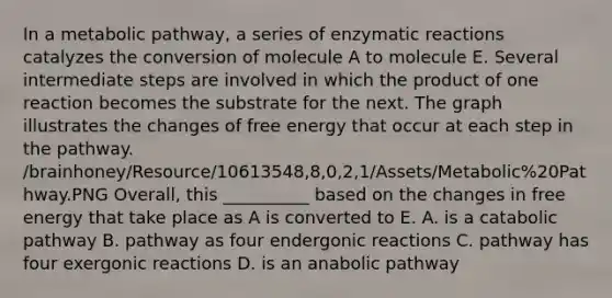 In a metabolic pathway, a series of enzymatic reactions catalyzes the conversion of molecule A to molecule E. Several intermediate steps are involved in which the product of one reaction becomes the substrate for the next. The graph illustrates the changes of free energy that occur at each step in the pathway. /brainhoney/Resource/10613548,8,0,2,1/Assets/Metabolic%20Pathway.PNG Overall, this __________ based on the changes in free energy that take place as A is converted to E. A. is a catabolic pathway B. pathway as four endergonic reactions C. pathway has four exergonic reactions D. is an anabolic pathway