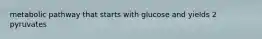 metabolic pathway that starts with glucose and yields 2 pyruvates