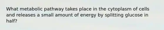 What metabolic pathway takes place in the cytoplasm of cells and releases a small amount of energy by splitting glucose in half?