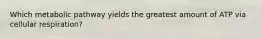 Which metabolic pathway yields the greatest amount of ATP via cellular respiration?
