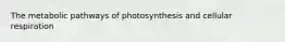 The metabolic pathways of photosynthesis and cellular respiration