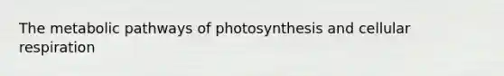 The metabolic pathways of photosynthesis and cellular respiration