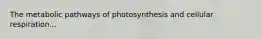 The metabolic pathways of photosynthesis and cellular respiration...