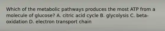 Which of the metabolic pathways produces the most ATP from a molecule of glucose? A. citric acid cycle B. glycolysis C. beta-oxidation D. electron transport chain