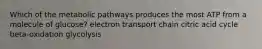 Which of the metabolic pathways produces the most ATP from a molecule of glucose? electron transport chain citric acid cycle beta-oxidation glycolysis