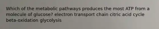 Which of the metabolic pathways produces the most ATP from a molecule of glucose? electron transport chain citric acid cycle beta-oxidation glycolysis