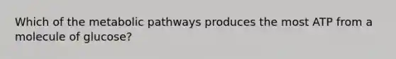 Which of the metabolic pathways produces the most ATP from a molecule of glucose?