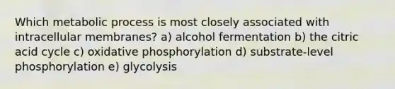 Which metabolic process is most closely associated with intracellular membranes? a) alcohol fermentation b) the citric acid cycle c) oxidative phosphorylation d) substrate-level phosphorylation e) glycolysis