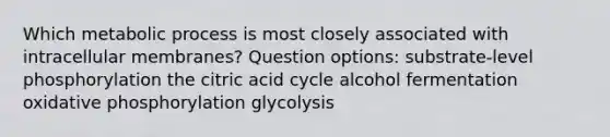 Which metabolic process is most closely associated with intracellular membranes? Question options: substrate-level phosphorylation the citric acid cycle alcohol fermentation oxidative phosphorylation glycolysis