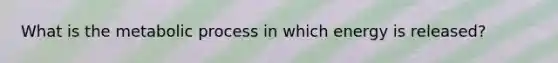 What is the metabolic process in which energy is released?