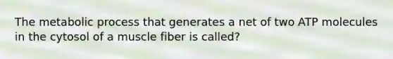 The metabolic process that generates a net of two ATP molecules in the cytosol of a muscle fiber is called?