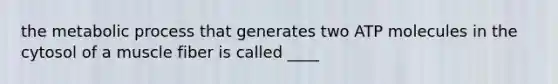 the metabolic process that generates two ATP molecules in the cytosol of a muscle fiber is called ____