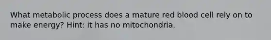 What metabolic process does a mature red blood cell rely on to make energy? Hint: it has no mitochondria.