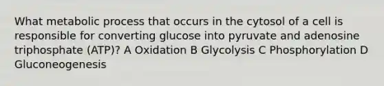 What metabolic process that occurs in the cytosol of a cell is responsible for converting glucose into pyruvate and adenosine triphosphate (ATP)? A Oxidation B Glycolysis C Phosphorylation D Gluconeogenesis