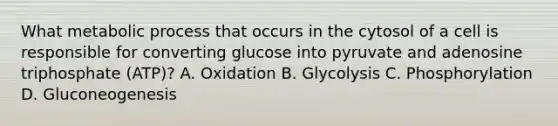 What metabolic process that occurs in the cytosol of a cell is responsible for converting glucose into pyruvate and adenosine triphosphate (ATP)? A. Oxidation B. Glycolysis C. Phosphorylation D. Gluconeogenesis