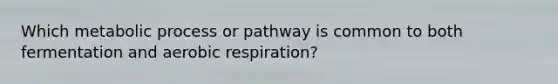 Which metabolic process or pathway is common to both fermentation and aerobic respiration?