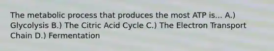 The metabolic process that produces the most ATP is... A.) Glycolysis B.) The Citric Acid Cycle C.) The Electron Transport Chain D.) Fermentation