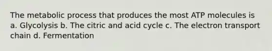 The metabolic process that produces the most ATP molecules is a. Glycolysis b. The citric and acid cycle c. <a href='https://www.questionai.com/knowledge/k57oGBr0HP-the-electron-transport-chain' class='anchor-knowledge'>the electron transport chain</a> d. Fermentation