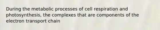 During the metabolic processes of cell respiration and photosynthesis, the complexes that are components of the electron transport chain