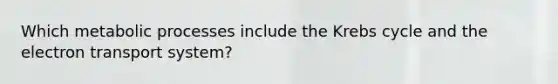 Which metabolic processes include the <a href='https://www.questionai.com/knowledge/kqfW58SNl2-krebs-cycle' class='anchor-knowledge'>krebs cycle</a> and the <a href='https://www.questionai.com/knowledge/kbvjAonm6A-electron-transport-system' class='anchor-knowledge'>electron transport system</a>?