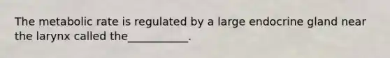 The metabolic rate is regulated by a large endocrine gland near the larynx called the___________.