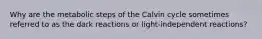 Why are the metabolic steps of the Calvin cycle sometimes referred to as the dark reactions or light-independent reactions?