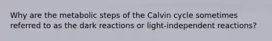 Why are the metabolic steps of the Calvin cycle sometimes referred to as the dark reactions or light-independent reactions?