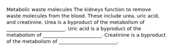 Metabolic waste molecules The kidneys function to remove waste molecules from the blood. These include urea, uric acid, and creatinine. Urea is a byproduct of the metabolism of ________________________. Uric acid is a byproduct of the metabolism of ________________________. Creatinine is a byproduct of the metabolism of ________________________.