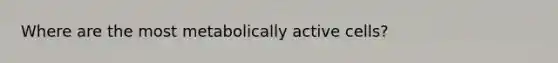 Where are the most metabolically active cells?