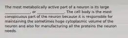 The most metabolically active part of a neuron is its large ______________, or _______________. The cell body is the most conspicuous part of the neuron because it is responsible for maintaining the sometimes huge cytoplasmic volume of the neuron and also for manufacturing all the proteins the neuron needs.