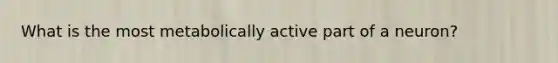 What is the most metabolically active part of a neuron?