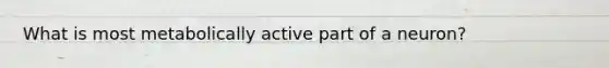 What is most metabolically active part of a neuron?