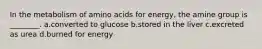 In the metabolism of amino acids for energy, the amine group is ________. a.converted to glucose b.stored in the liver c.excreted as urea d.burned for energy