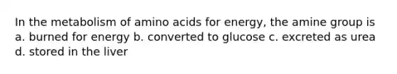 In the metabolism of amino acids for energy, the amine group is a. burned for energy b. converted to glucose c. excreted as urea d. stored in the liver