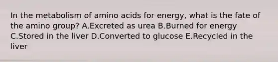 In the metabolism of amino acids for energy, what is the fate of the amino group? A.Excreted as urea B.Burned for energy C.Stored in the liver D.Converted to glucose E.Recycled in the liver