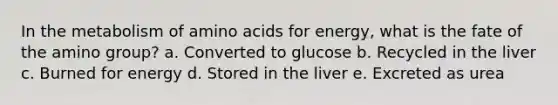 In the metabolism of amino acids for energy, what is the fate of the amino group?​ a. ​Converted to glucose b. Recycled in the liver​ c. ​Burned for energy d. ​Stored in the liver e. ​Excreted as urea