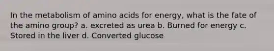 In the metabolism of amino acids for energy, what is the fate of the amino group? a. excreted as urea b. Burned for energy c. Stored in the liver d. Converted glucose