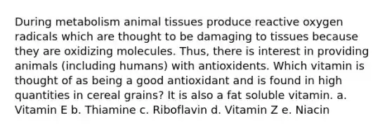 During metabolism animal tissues produce reactive oxygen radicals which are thought to be damaging to tissues because they are oxidizing molecules. Thus, there is interest in providing animals (including humans) with antioxidents. Which vitamin is thought of as being a good antioxidant and is found in high quantities in cereal grains? It is also a fat soluble vitamin. a. Vitamin E b. Thiamine c. Riboflavin d. Vitamin Z e. Niacin