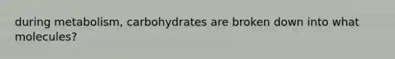 during metabolism, carbohydrates are broken down into what molecules?